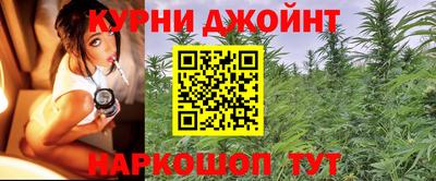 винт Дубна
