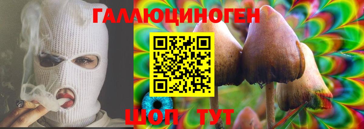 Псилоцибиновые грибы GOLDEN TEACHER  Вход с VPN  Луховицы 